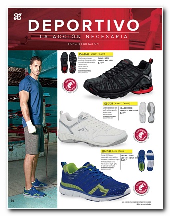 Ver Catalogo