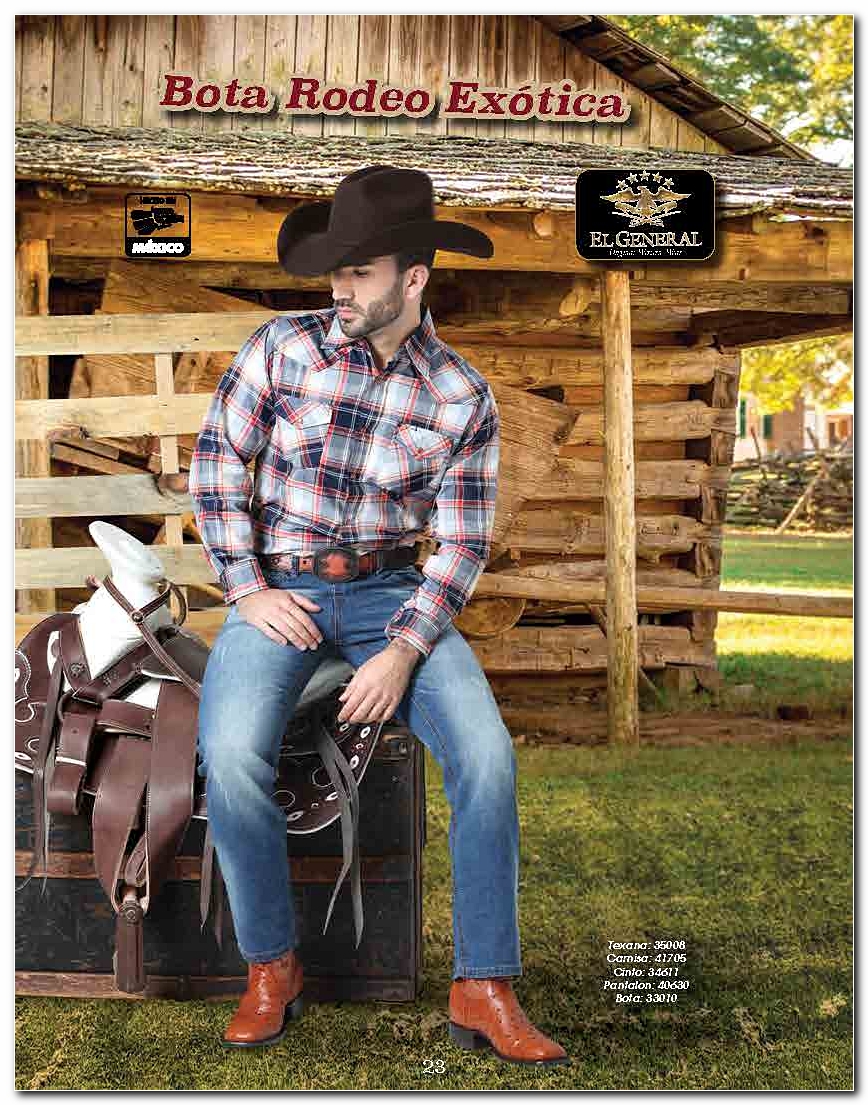 <small>Ver Catalogo<small>