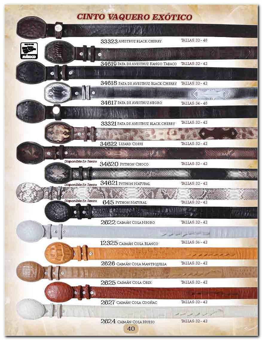 <small>Ver Catalogo<small>