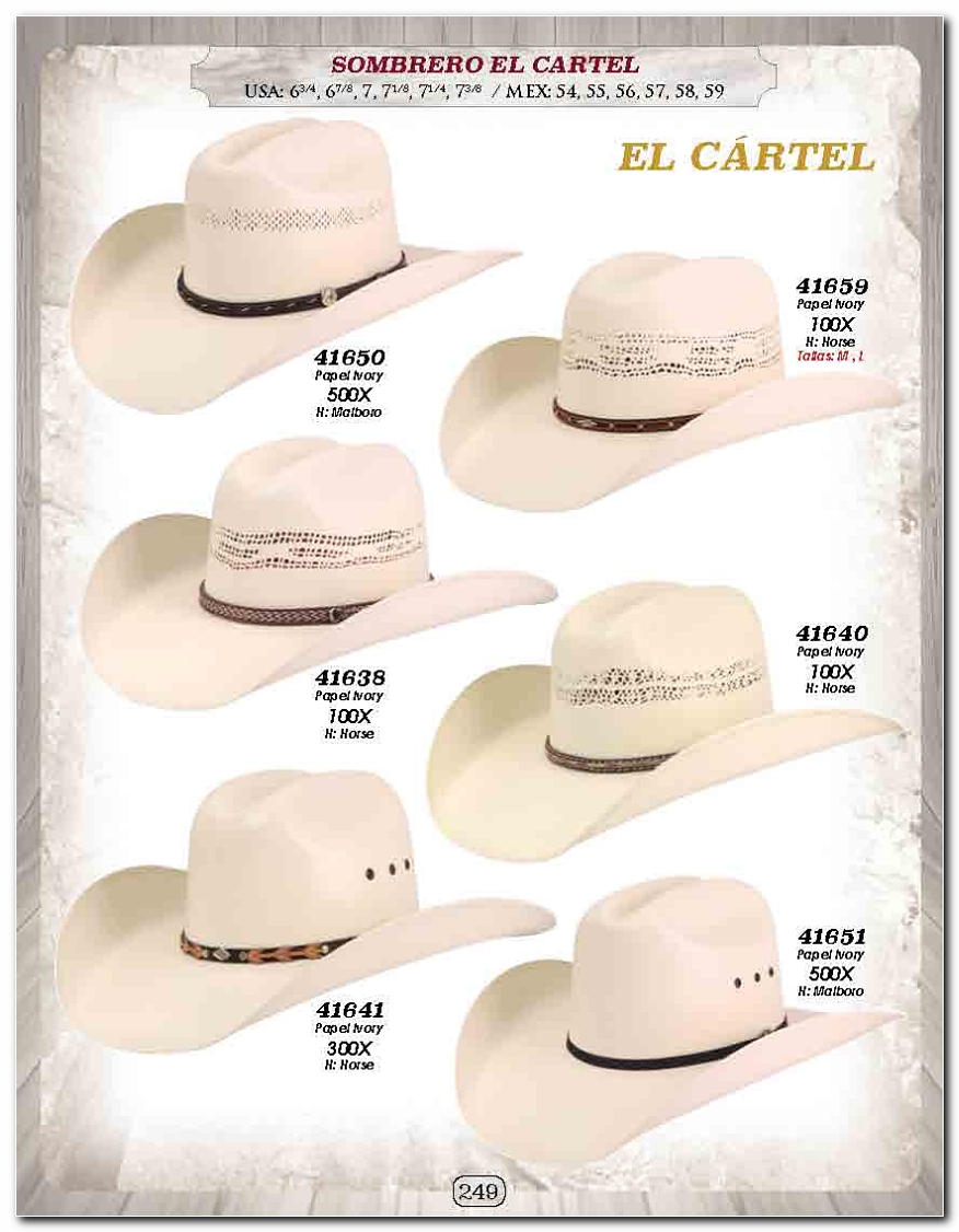 <small>Ver Catalogo<small>