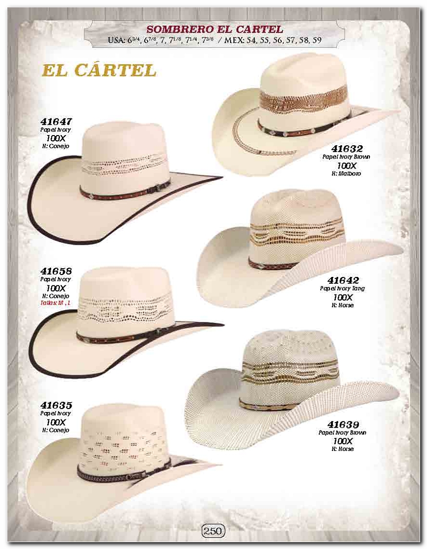 <small>Ver Catalogo<small>