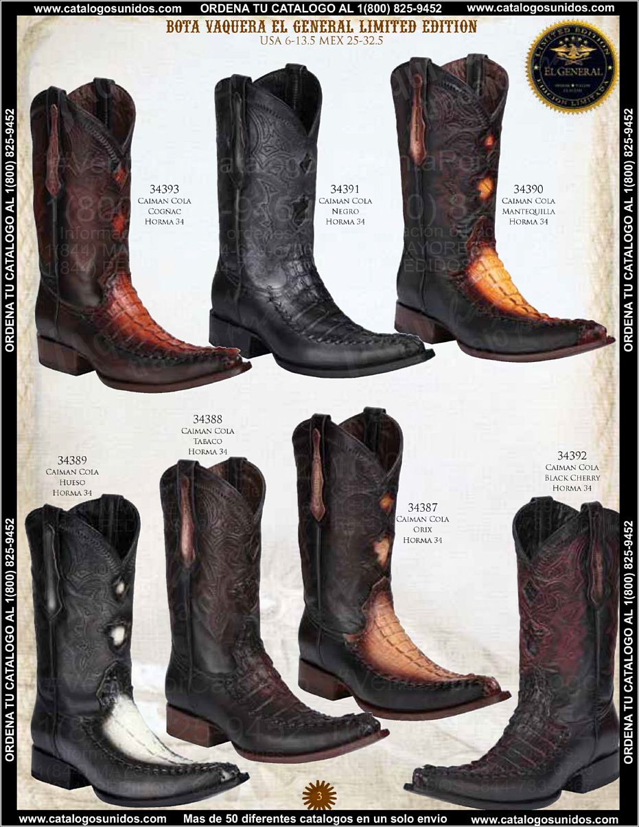 ElGeneralOI2015_Page_004