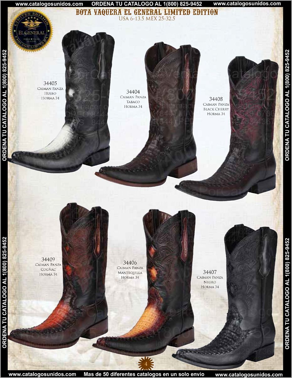 ElGeneralOI2015_Page_005