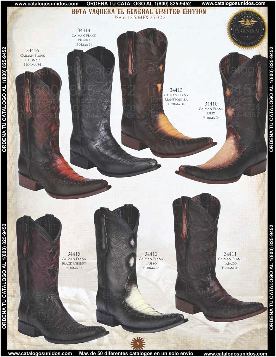 ElGeneralOI2015_Page_006