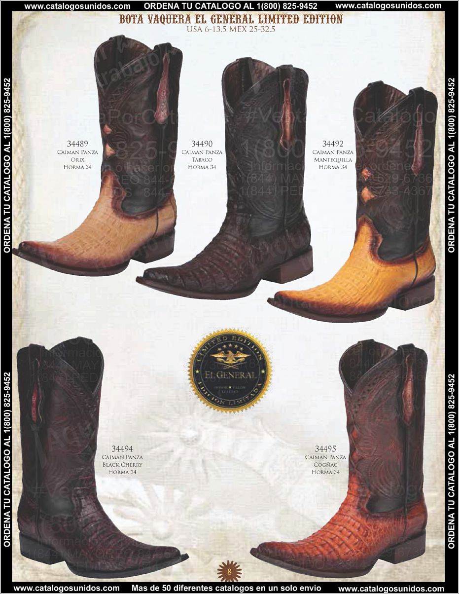 ElGeneralOI2015_Page_009