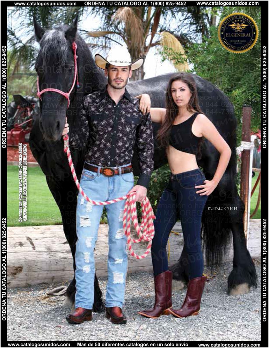 ElGeneralOI2015_Page_010