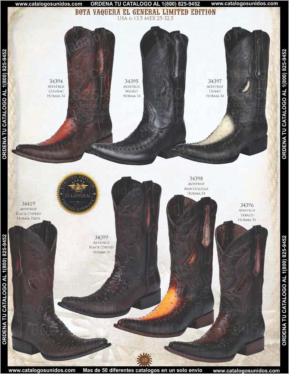 ElGeneralOI2015_Page_011