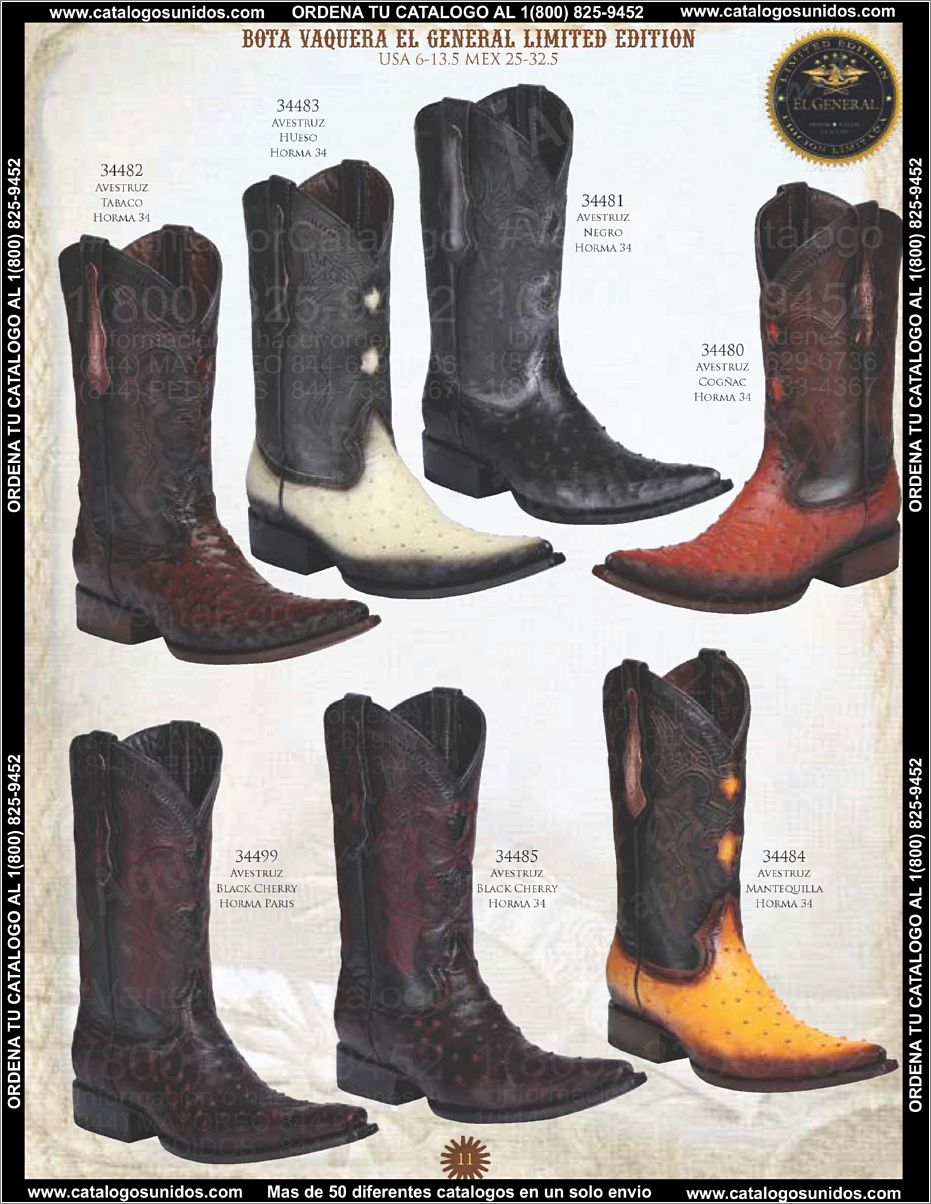 ElGeneralOI2015_Page_012