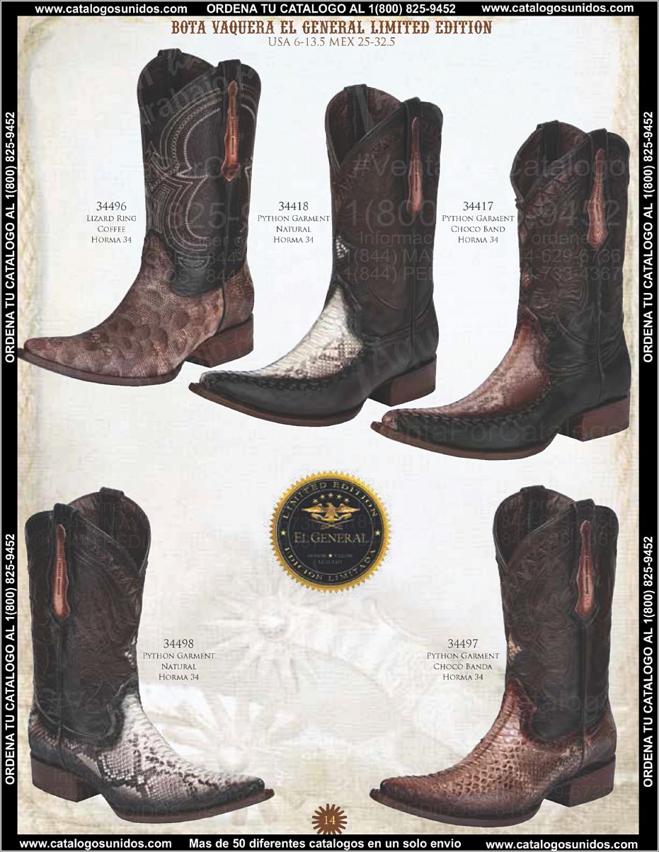 ElGeneralOI2015_Page_015