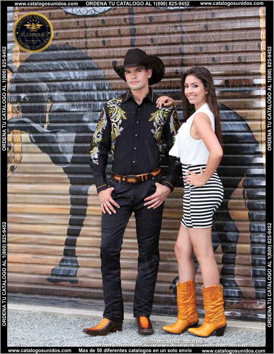 ElGeneralOI2015_Page_017