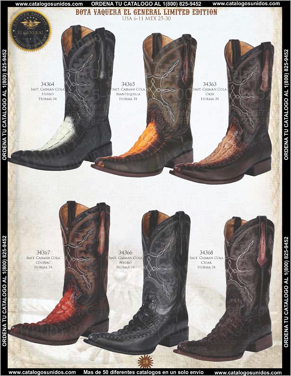 ElGeneralOI2015_Page_019