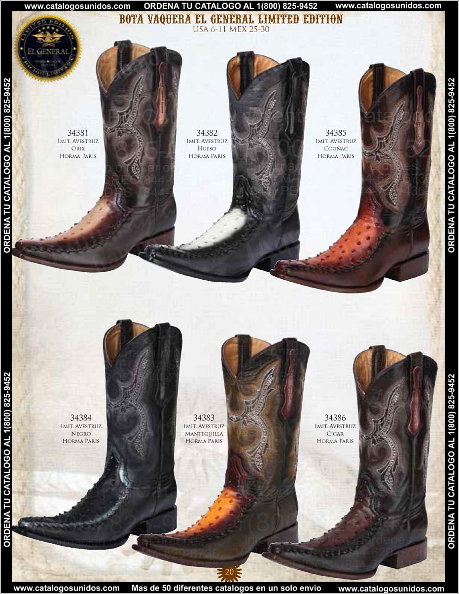 ElGeneralOI2015_Page_021