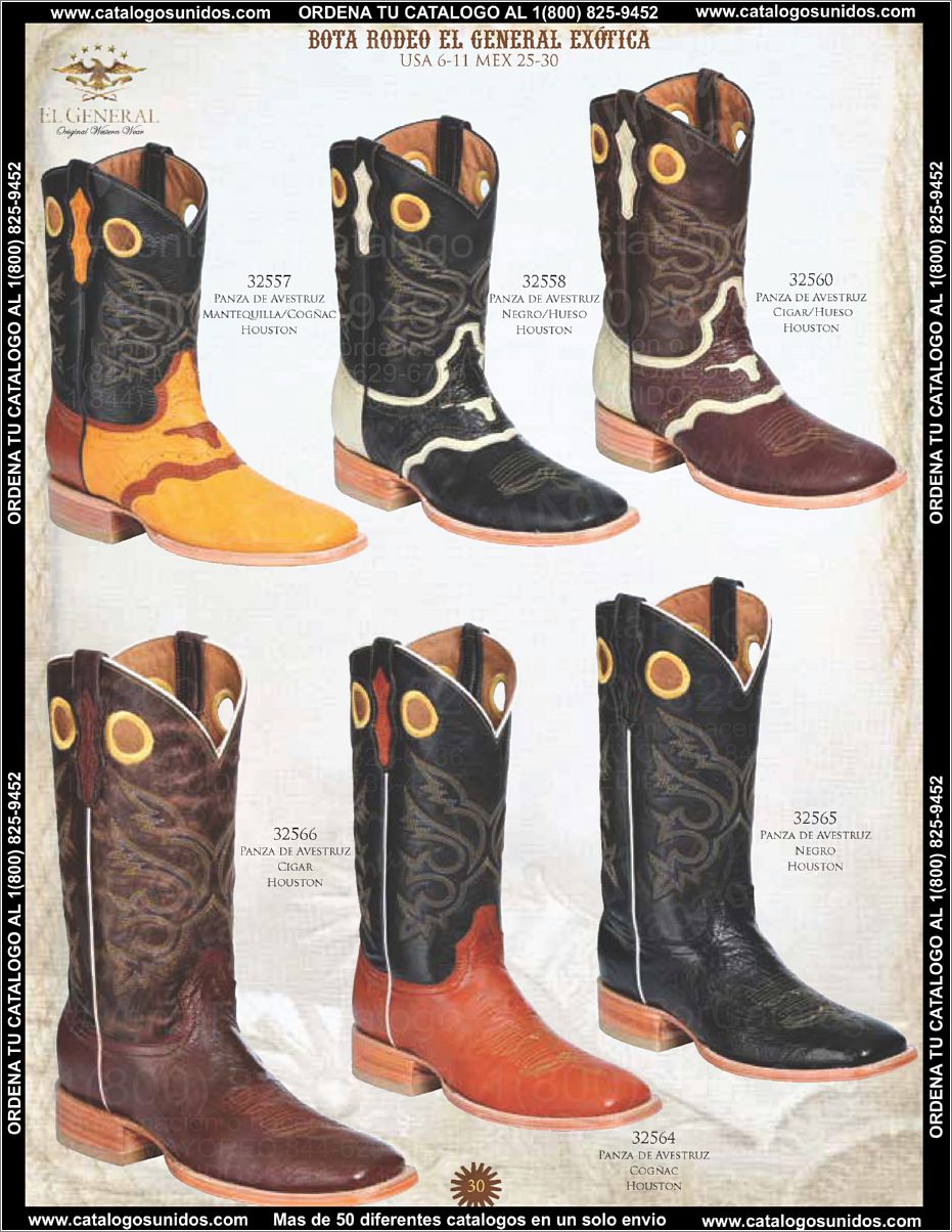 ElGeneralOI2015_Page_031