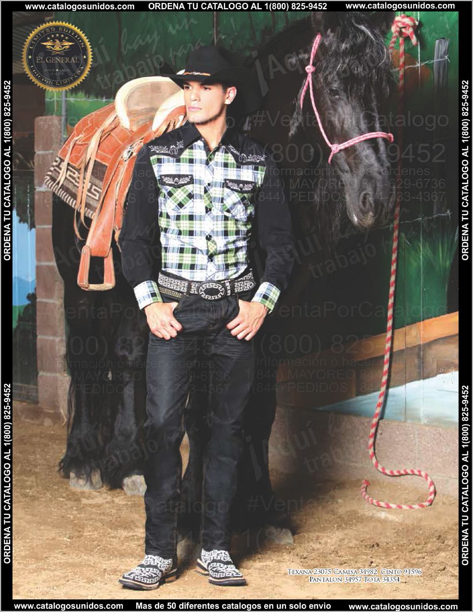 ElGeneralOI2015_Page_037