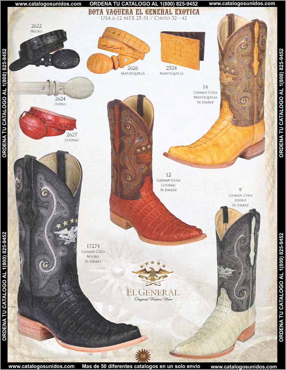 ElGeneralOI2015_Page_059