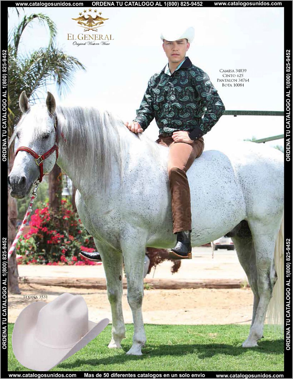 ElGeneralOI2015_Page_063