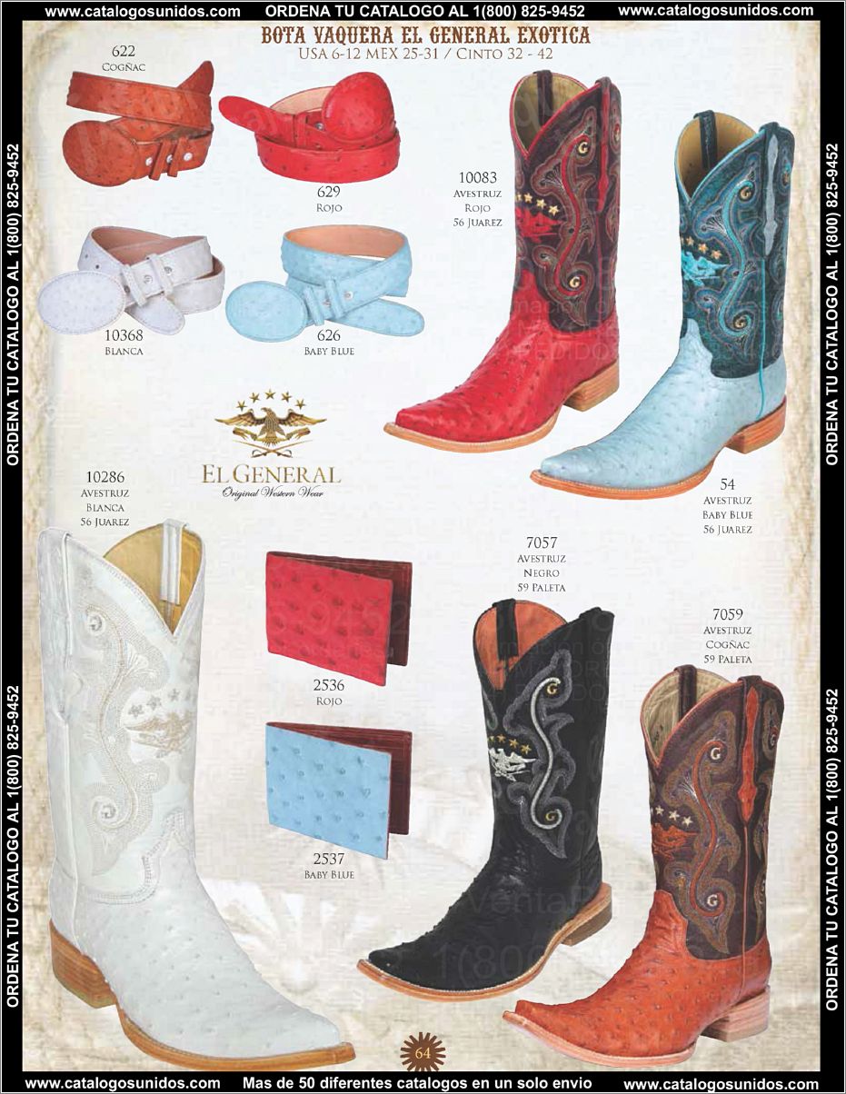 ElGeneralOI2015_Page_065