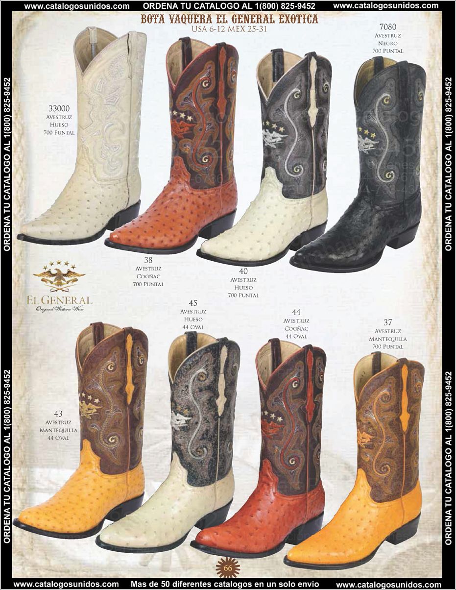 ElGeneralOI2015_Page_067