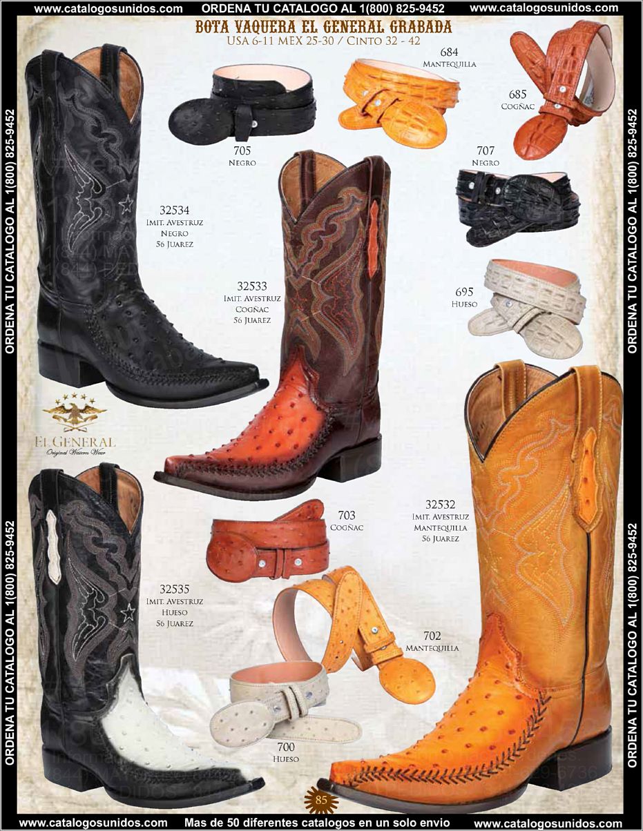 ElGeneralOI2015_Page_070