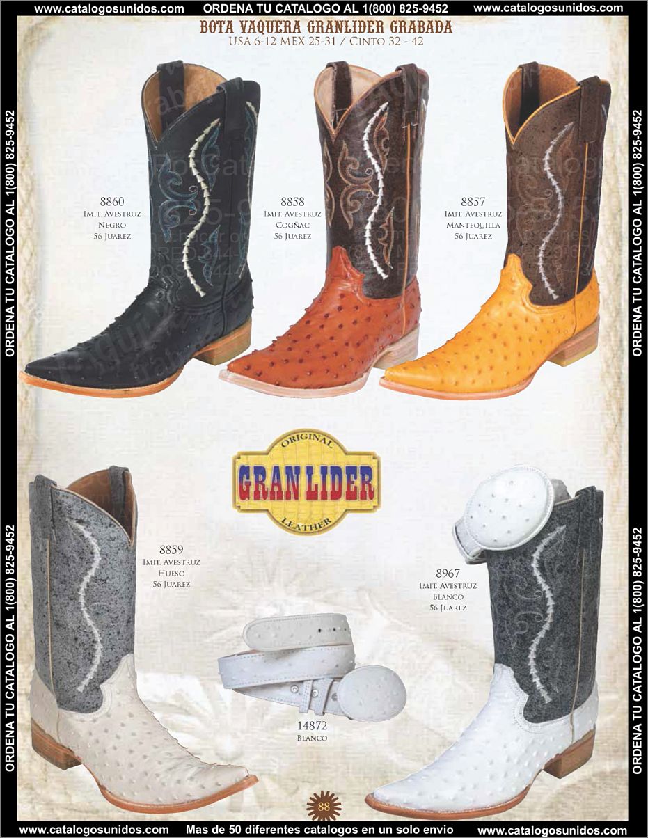 ElGeneralOI2015_Page_073