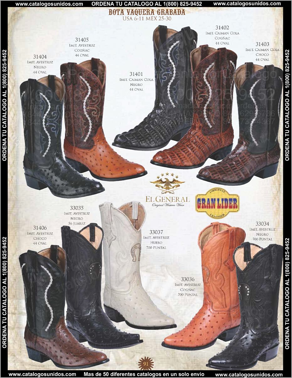 ElGeneralOI2015_Page_076