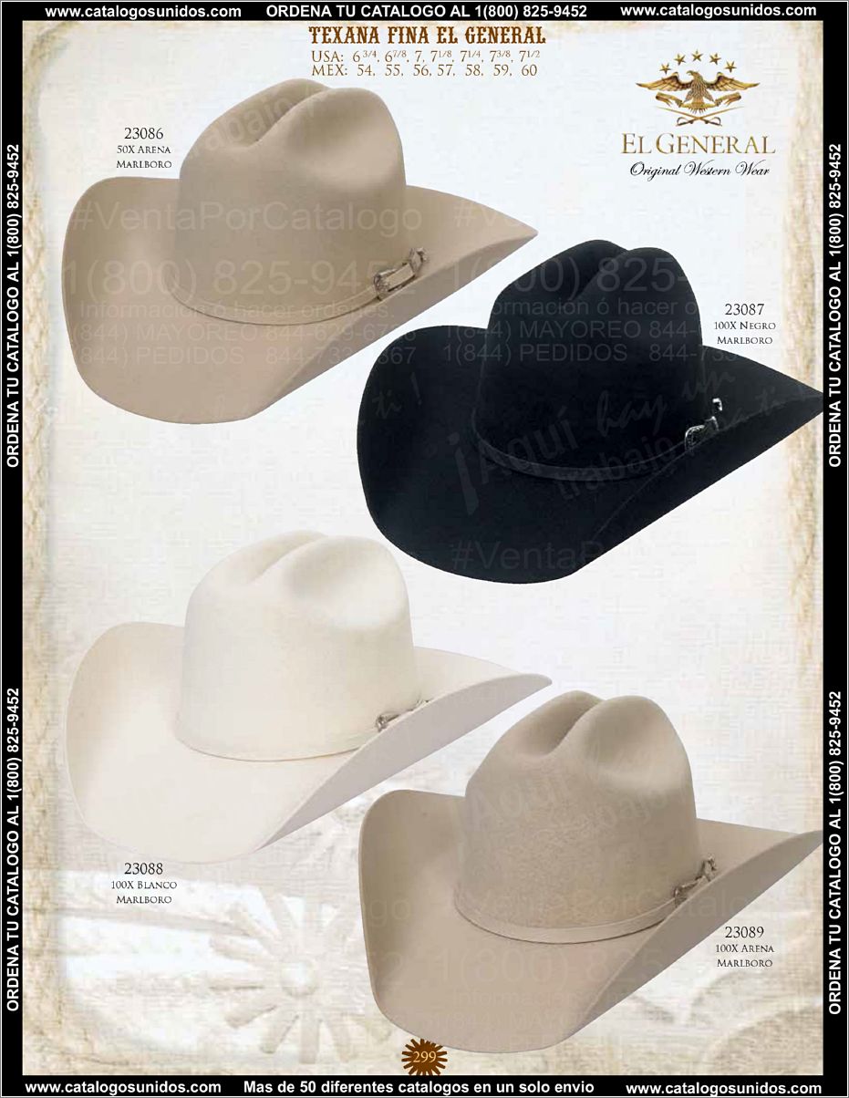 ElGeneralOI2015_Page_284