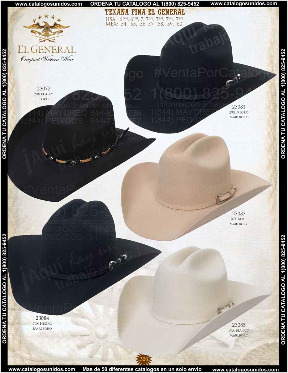 ElGeneralOI2015_Page_285