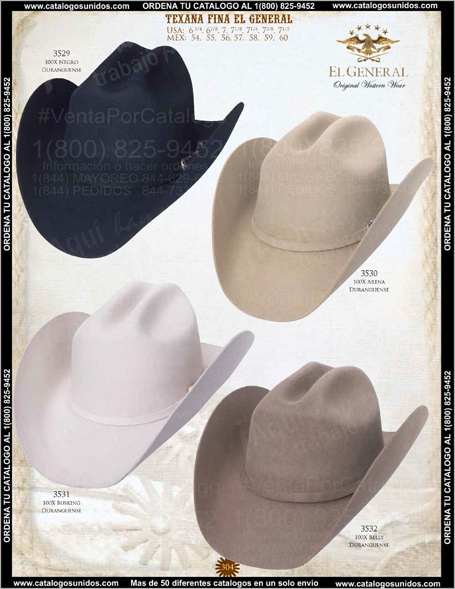 ElGeneralOI2015_Page_289