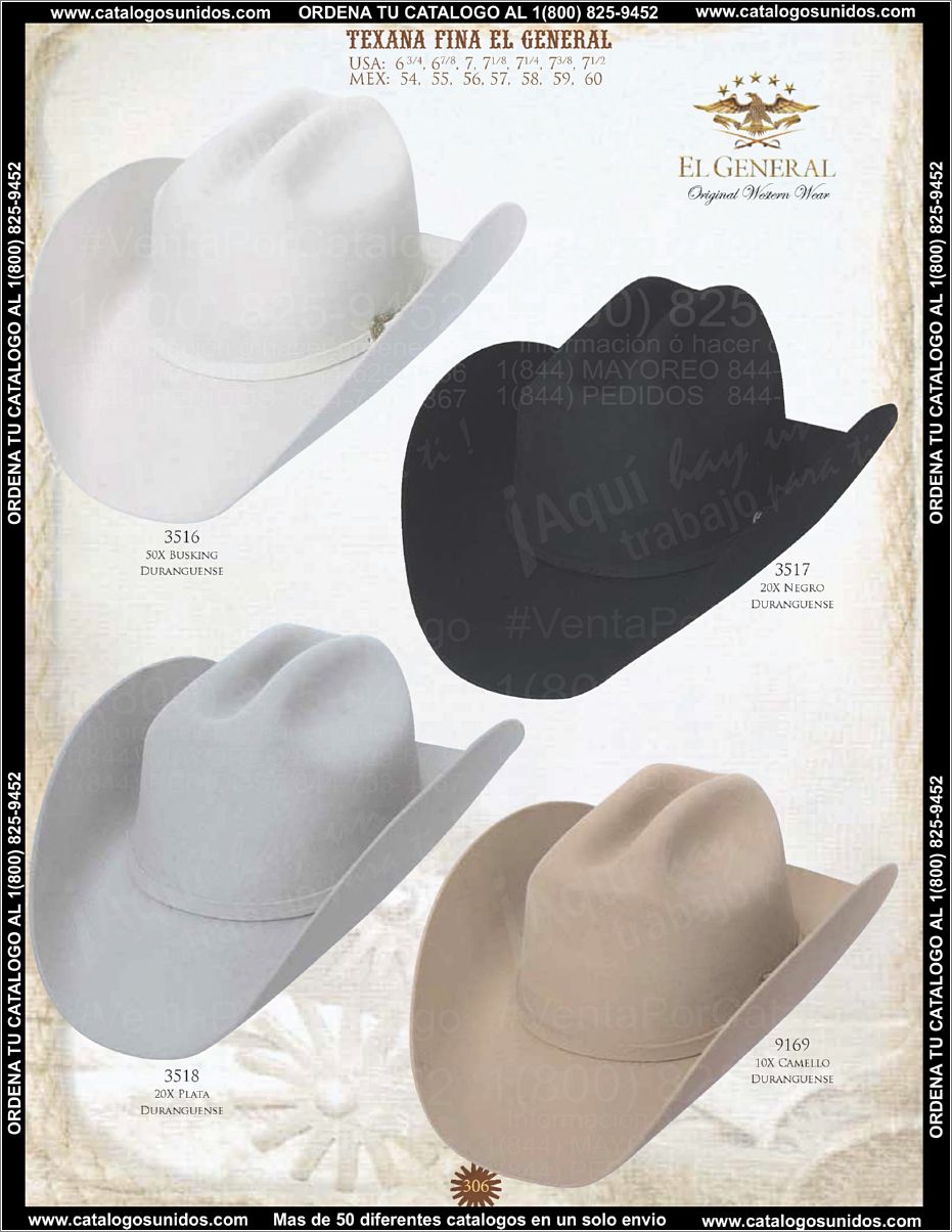 ElGeneralOI2015_Page_291