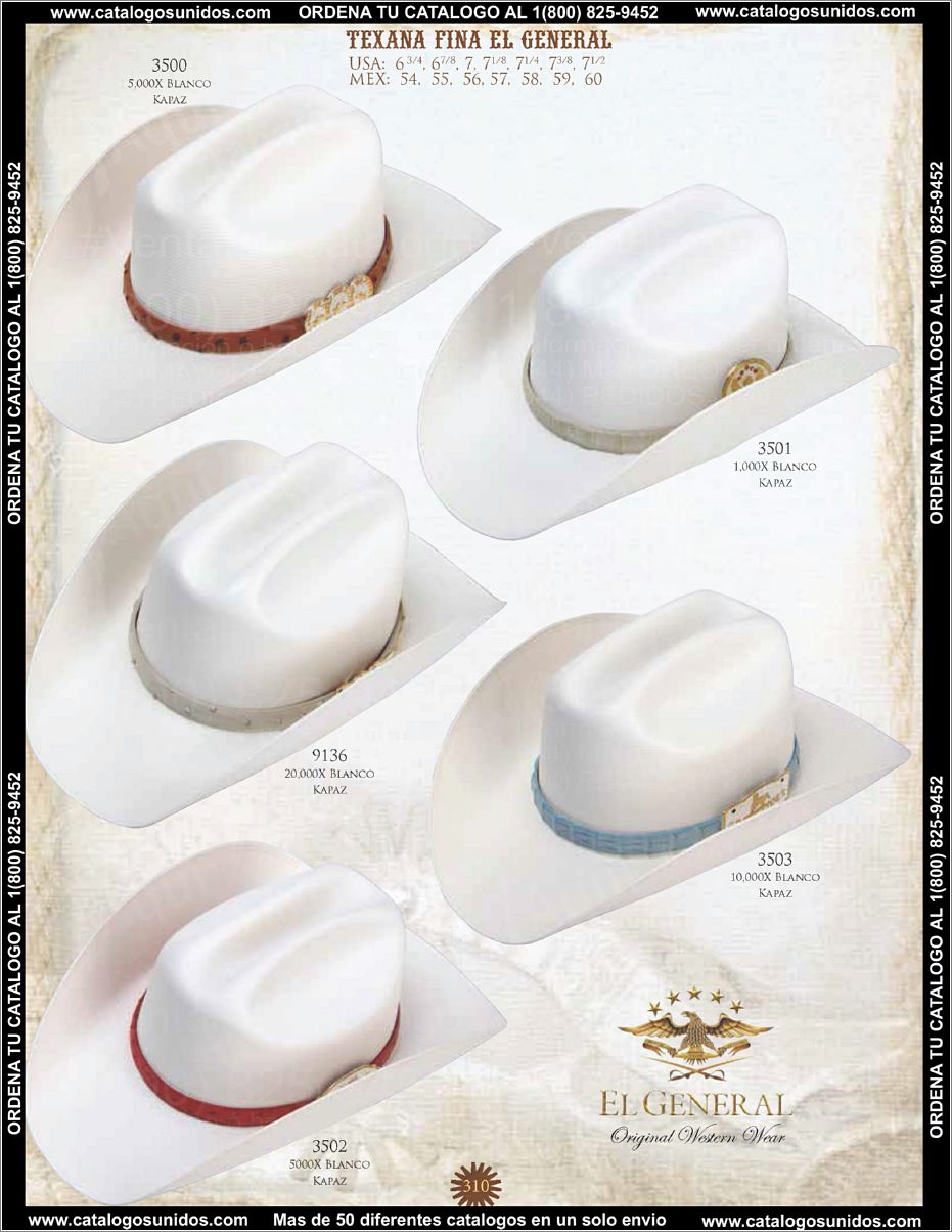 ElGeneralOI2015_Page_295