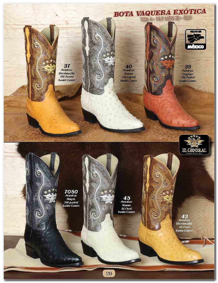 <small>Ver Catalogo<small>