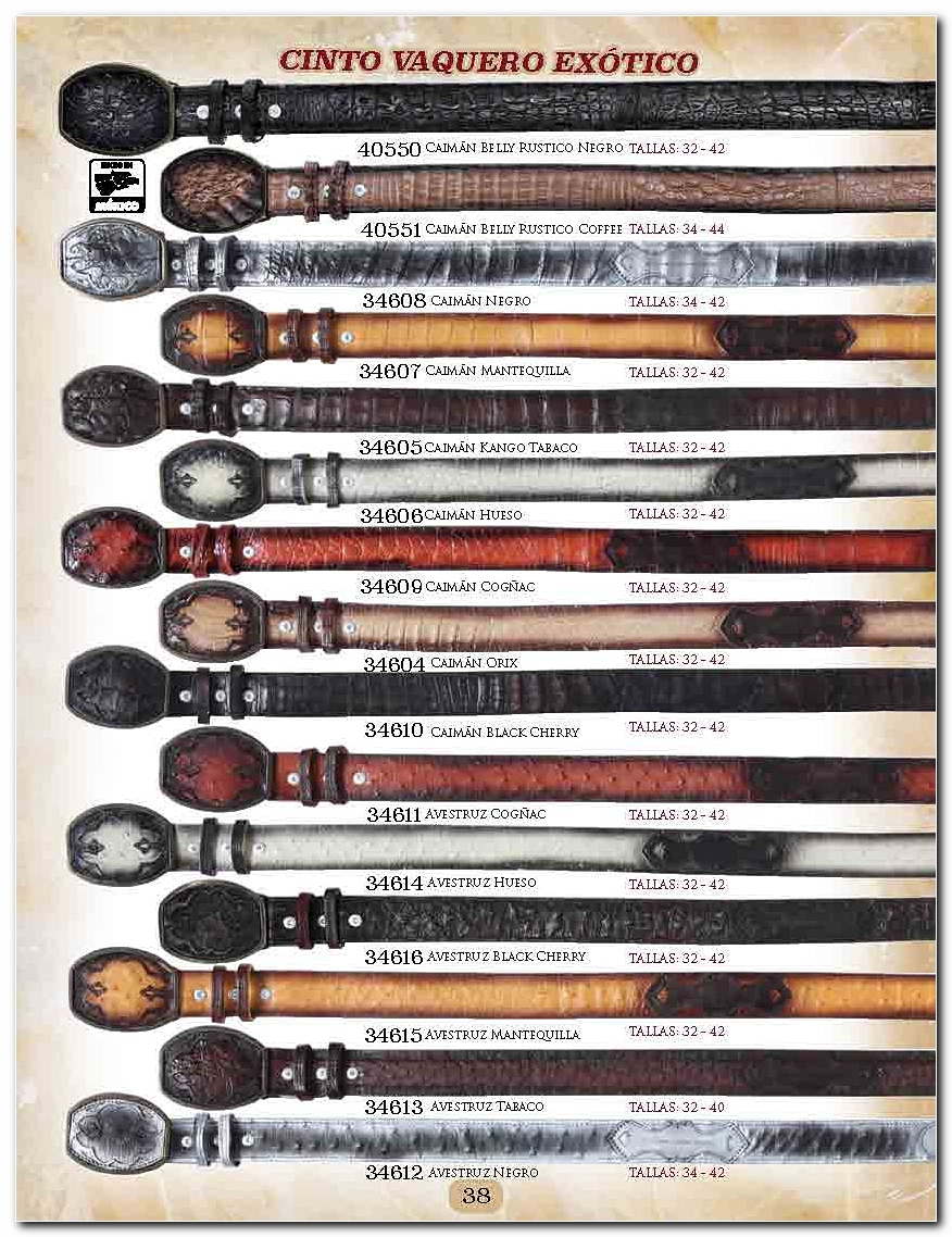 <small>Ver Catalogo<small>