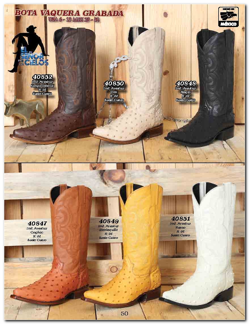 <small>Ver Catalogo<small>