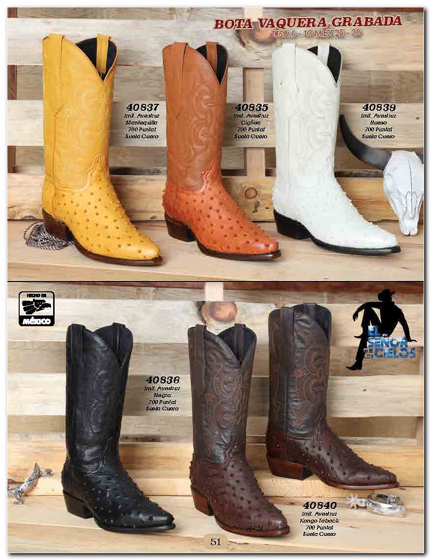 <small>Ver Catalogo<small>