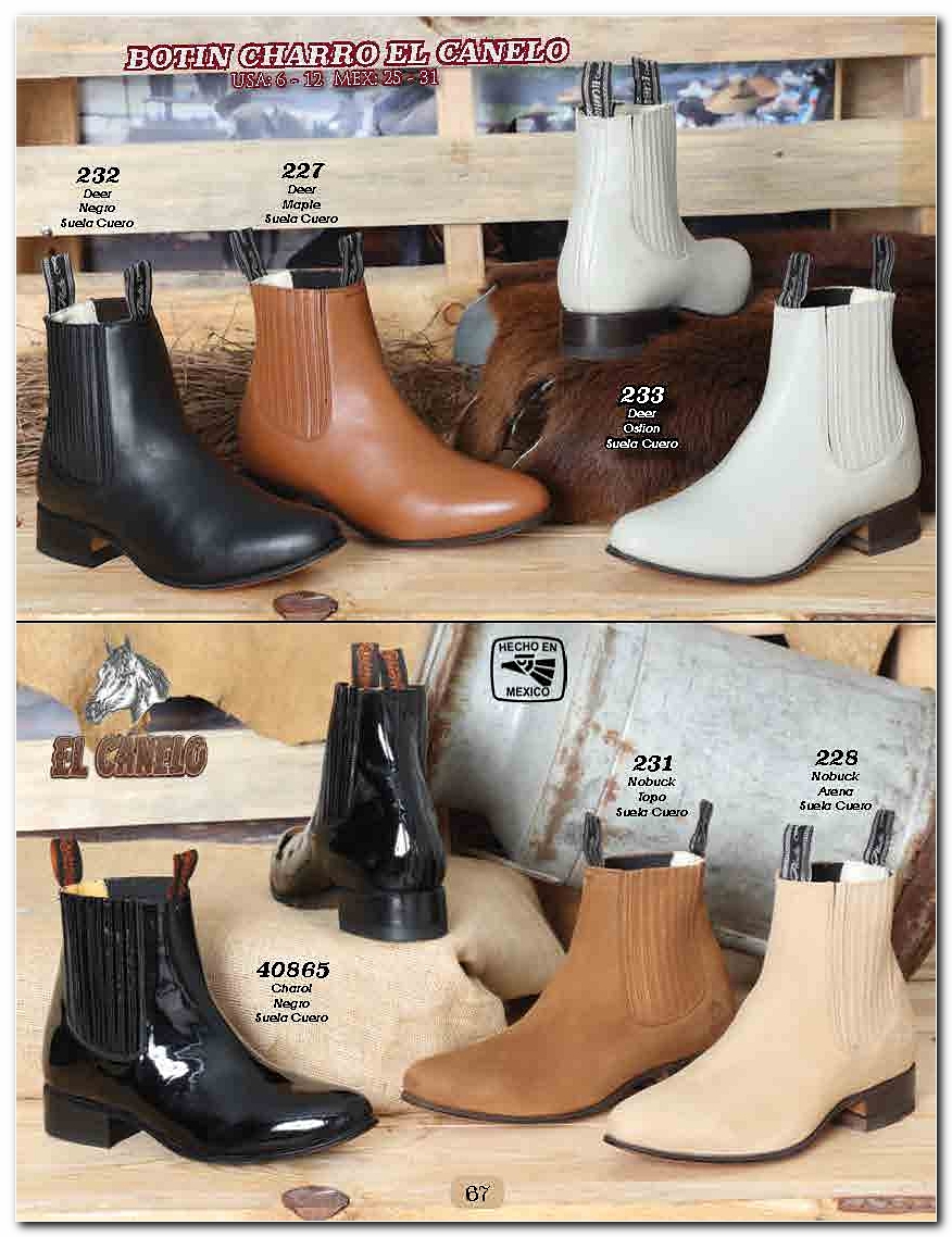 <small>Ver Catalogo<small>