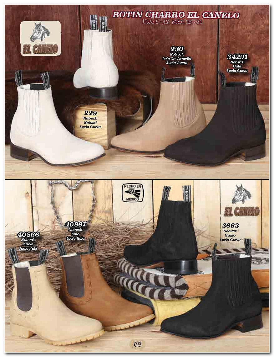 <small>Ver Catalogo<small>