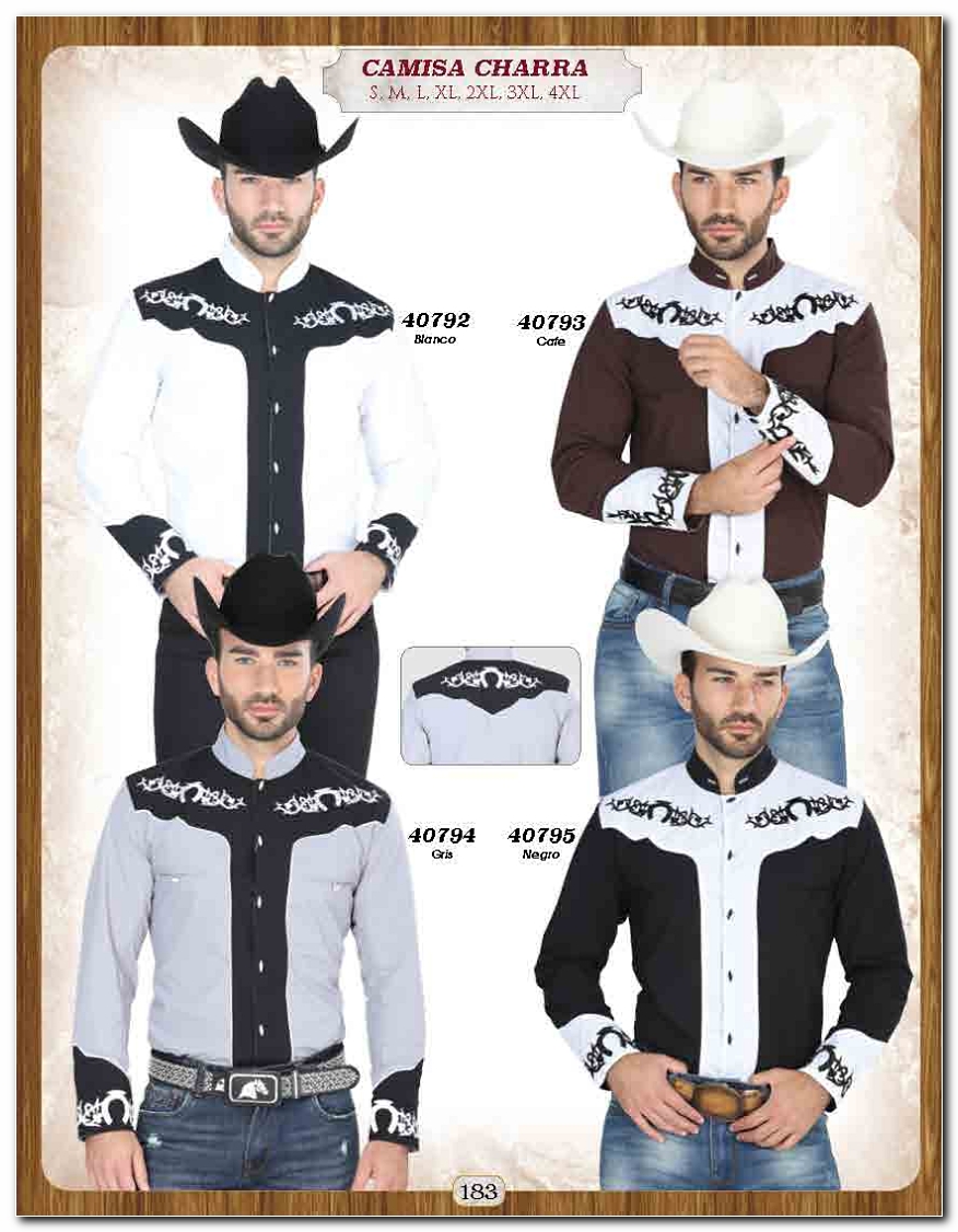 <small>Ver Catalogo<small>