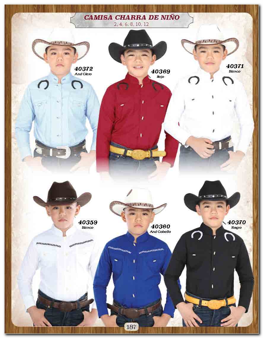 <small>Ver Catalogo<small>