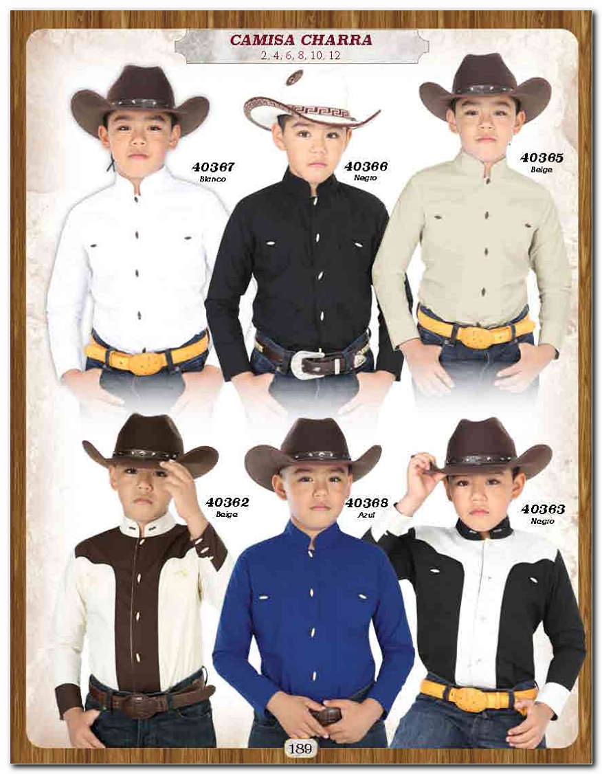 <small>Ver Catalogo<small>