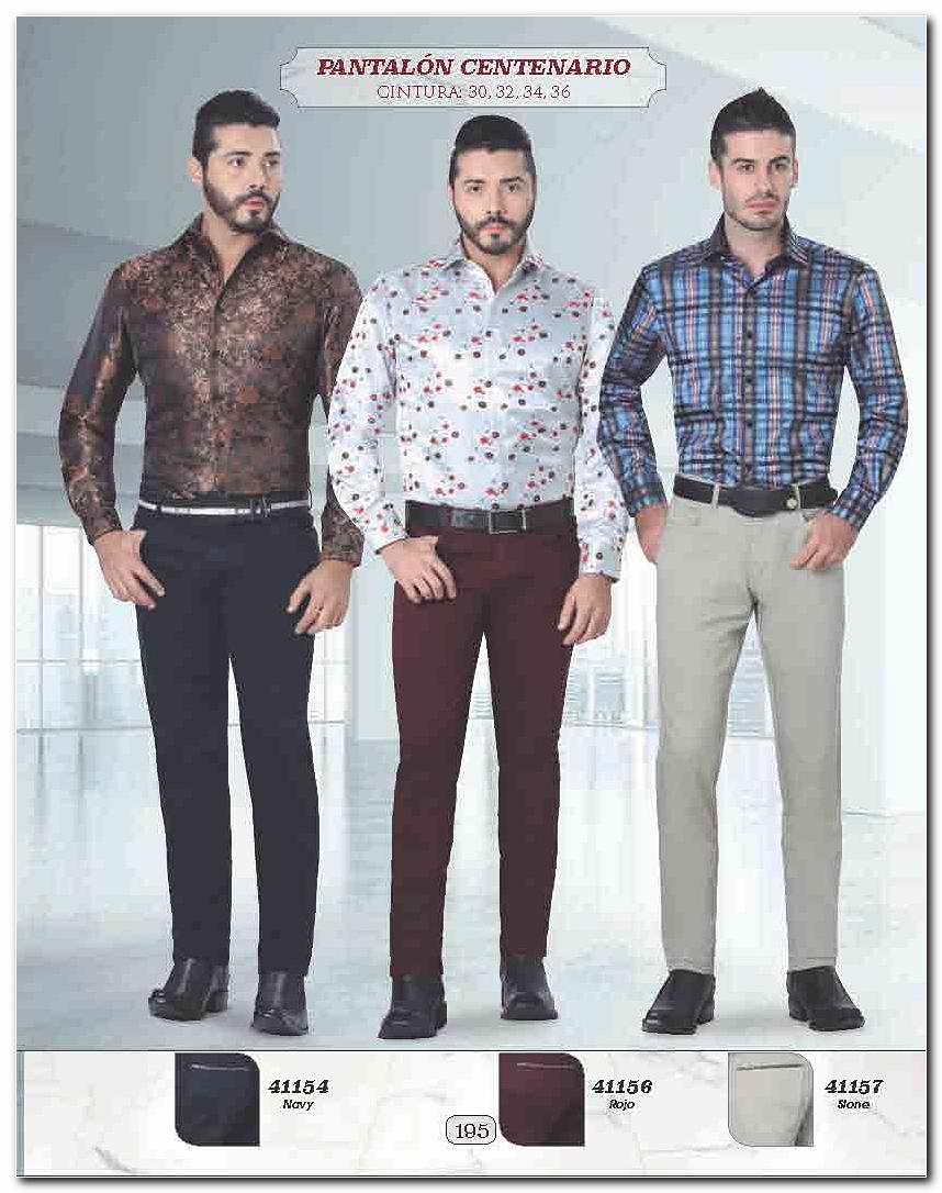 <small>Ver Catalogo<small>