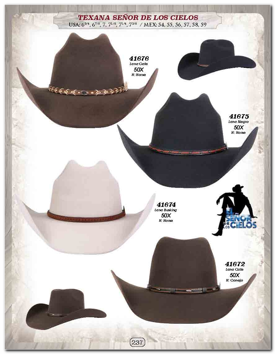 <small>Ver Catalogo<small>