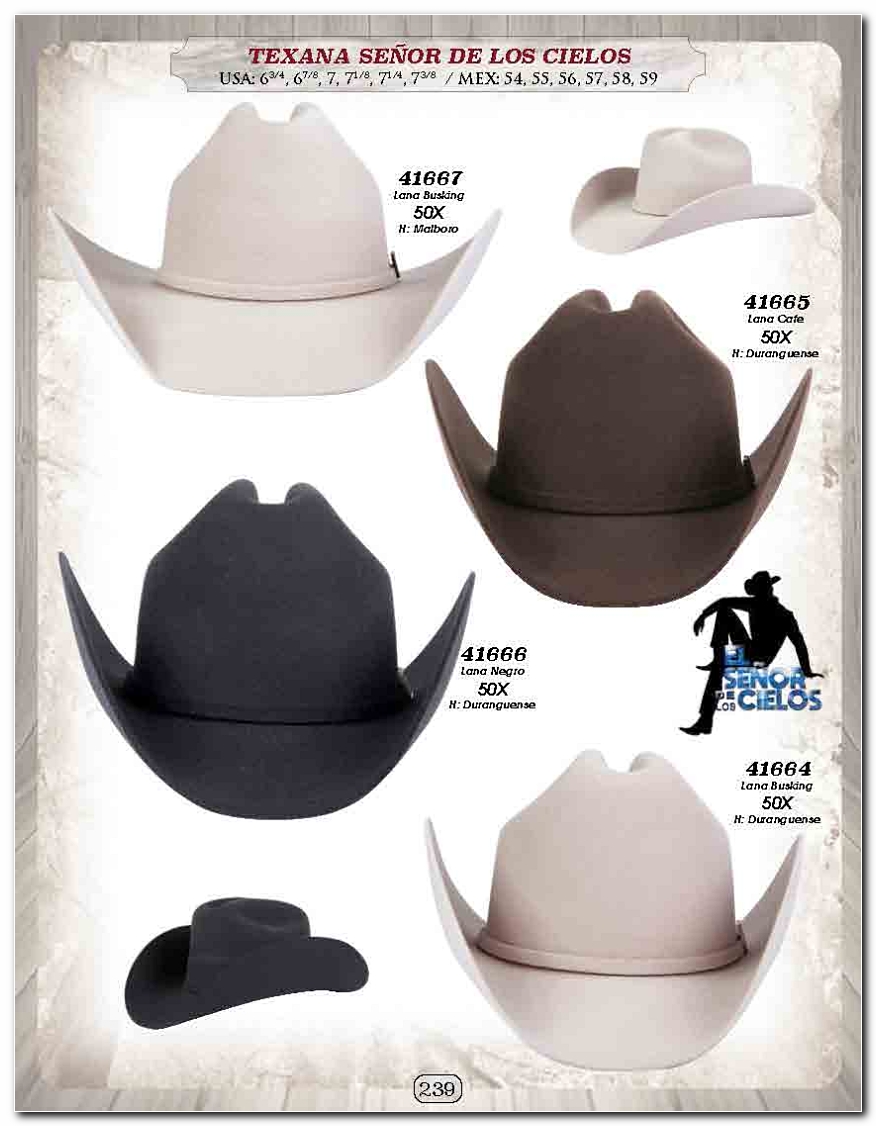 <small>Ver Catalogo<small>