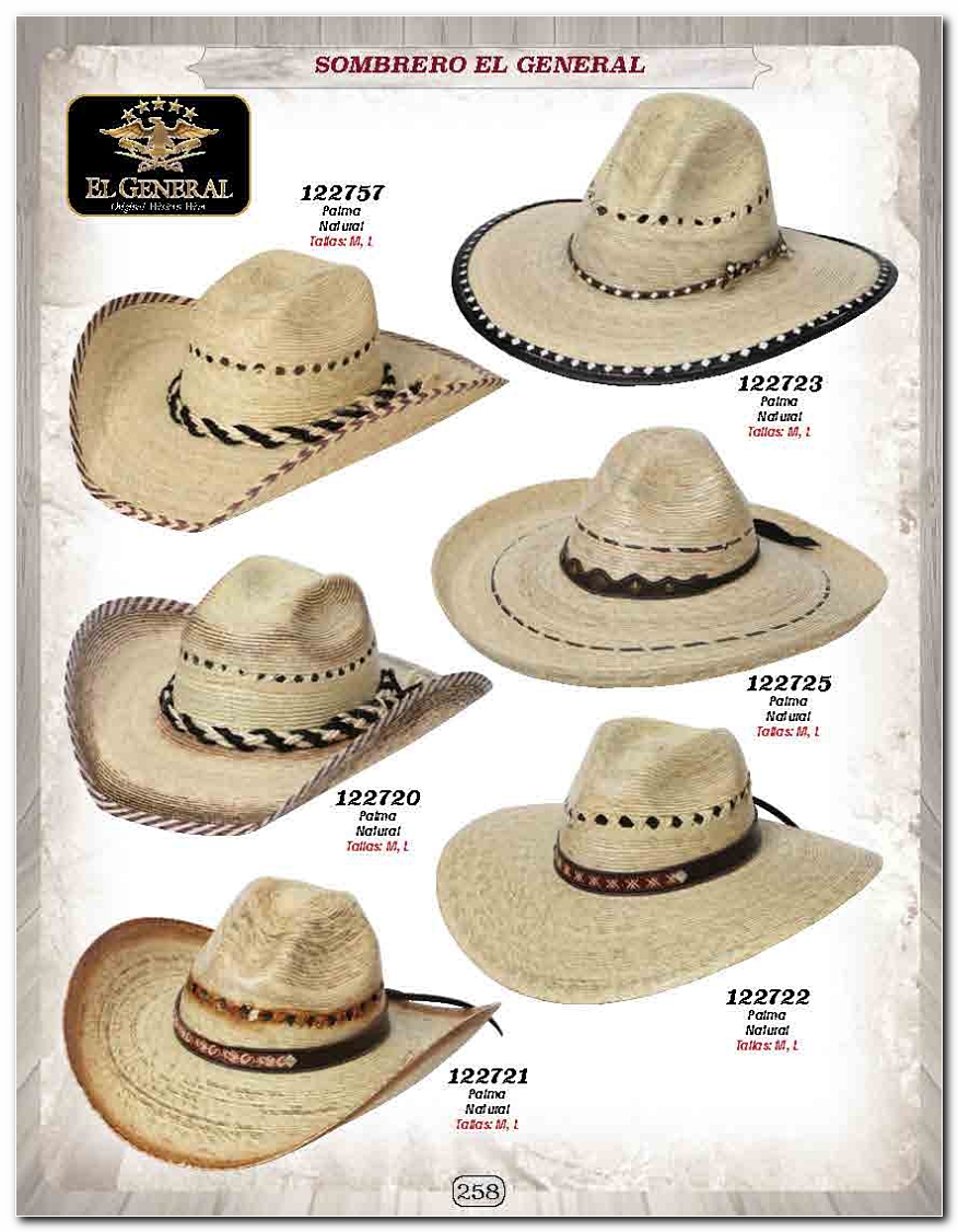 <small>Ver Catalogo<small>