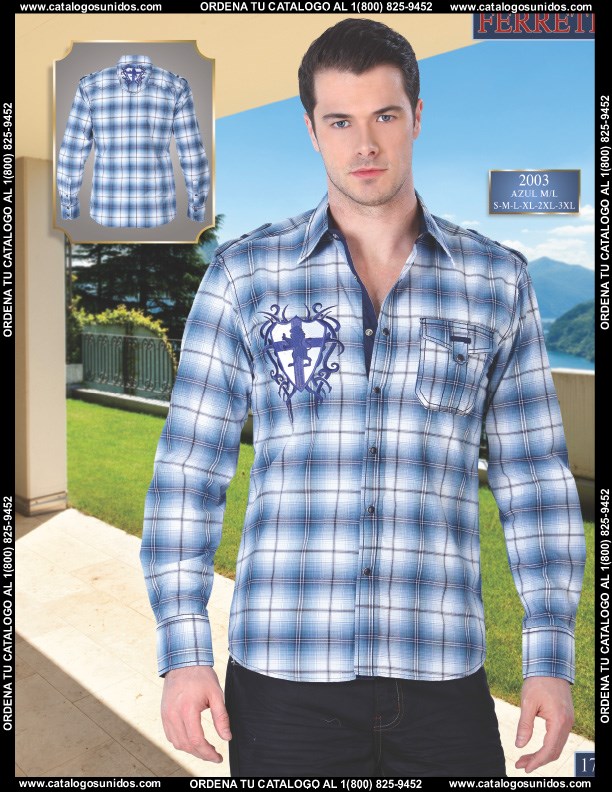 Ferreti2014 (Page 17)