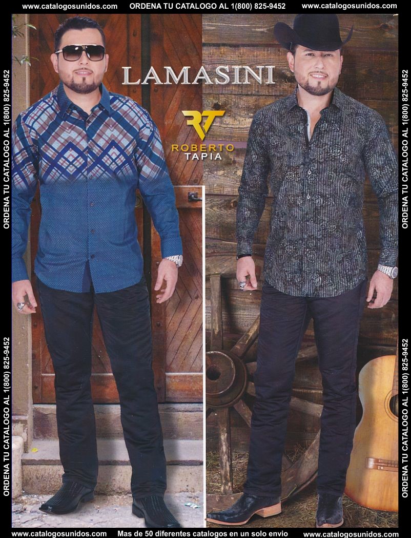 Lamasini_OI_2015_2016_001