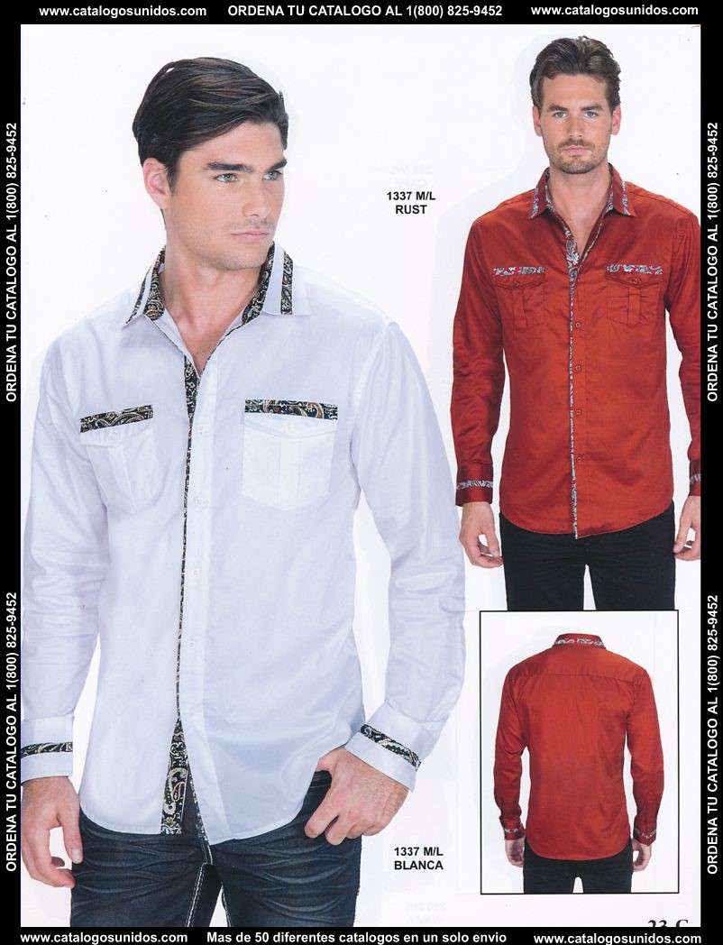 Lamasini_OI_2015_2016_023