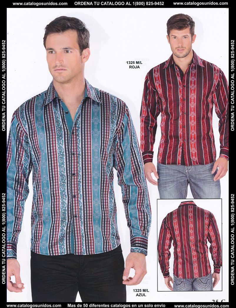 Lamasini_OI_2015_2016_025