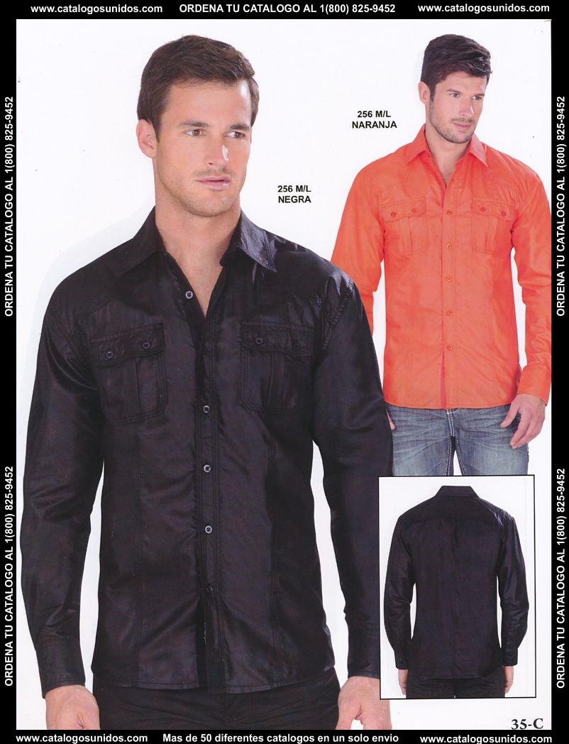 Lamasini_OI_2015_2016_035