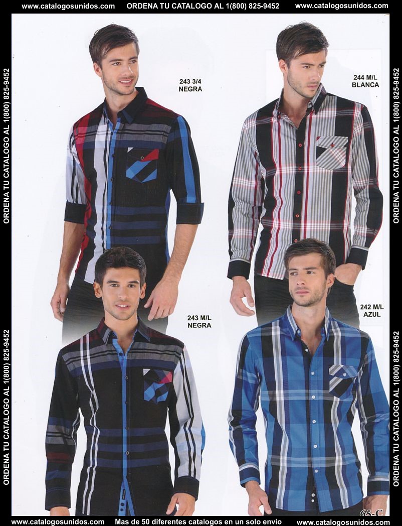 Lamasini_OI_2015_2016_065