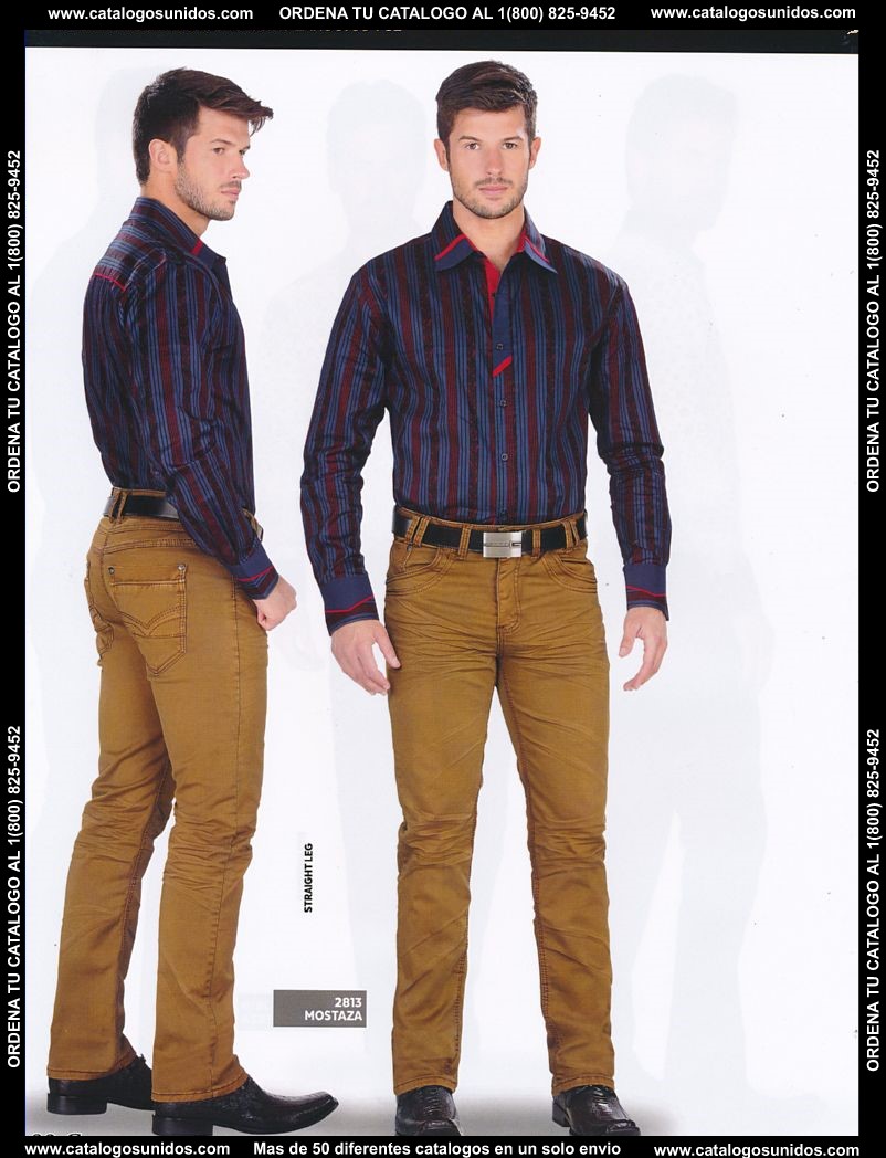 Lamasini_OI_2015_2016_080